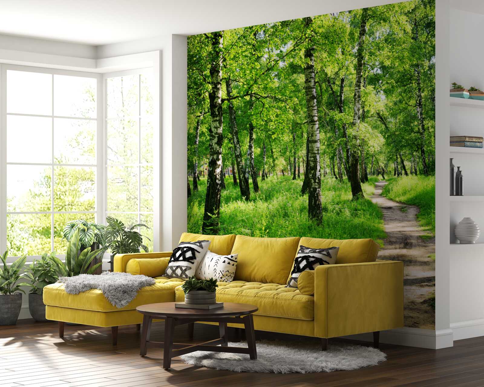 Fotobehang Pad door een berkenbos