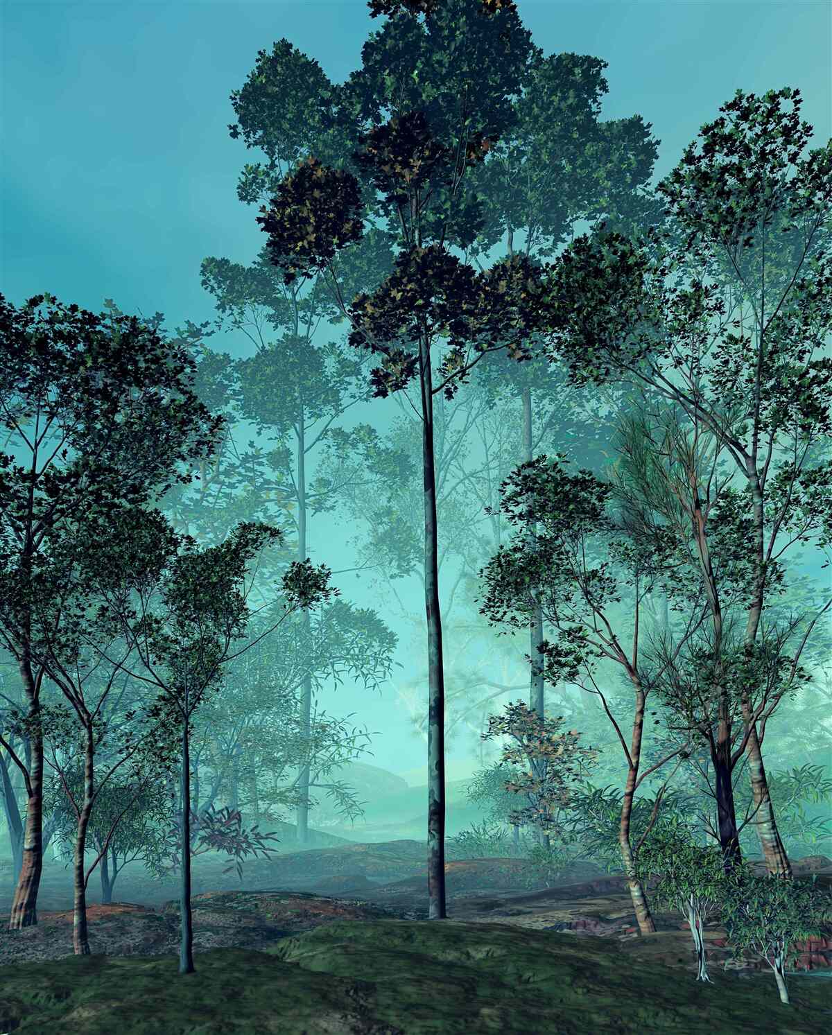 Fotobehang betoverend bos gehuld in dichte mist