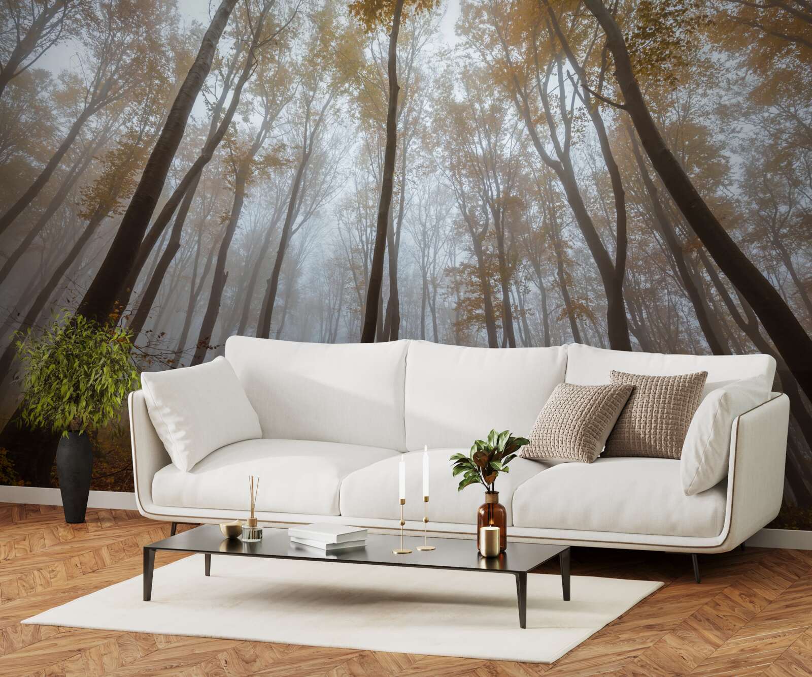 Fotobehang slanke, hoge bomen in de herfst