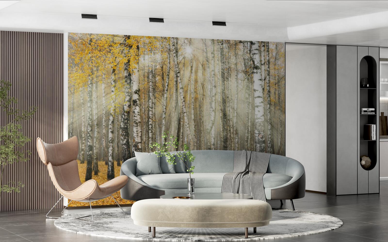 Fotobehang Gevallen berkenbladeren in een herfstbos