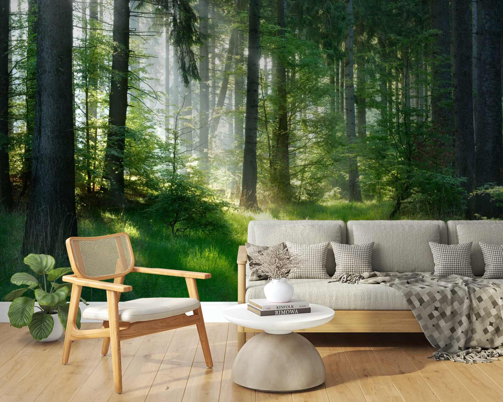 Fotobehang een ochtend in het bos, omringd door groen