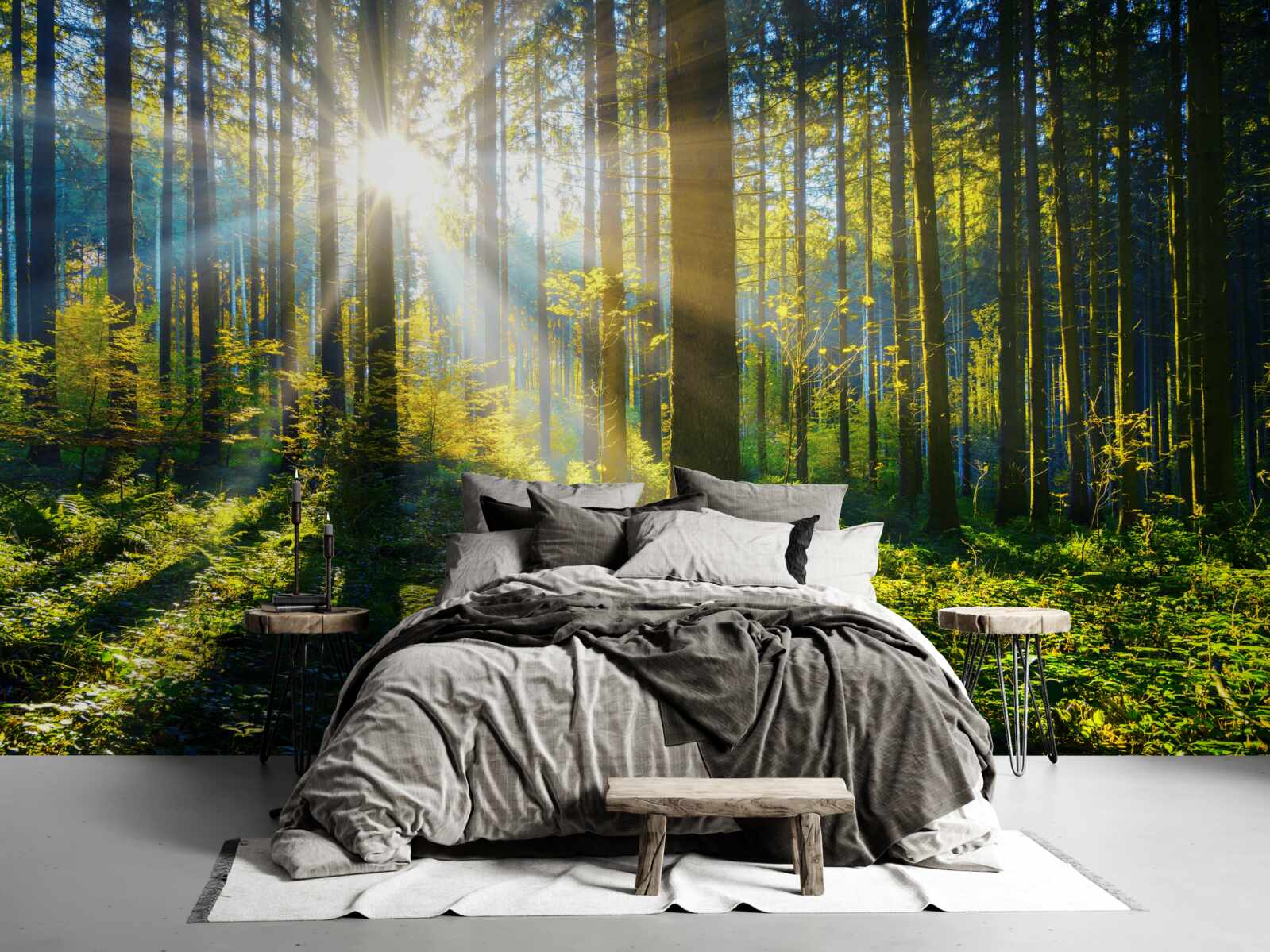 Fotobehang helder licht verwarmt een verduisterd struikgewas