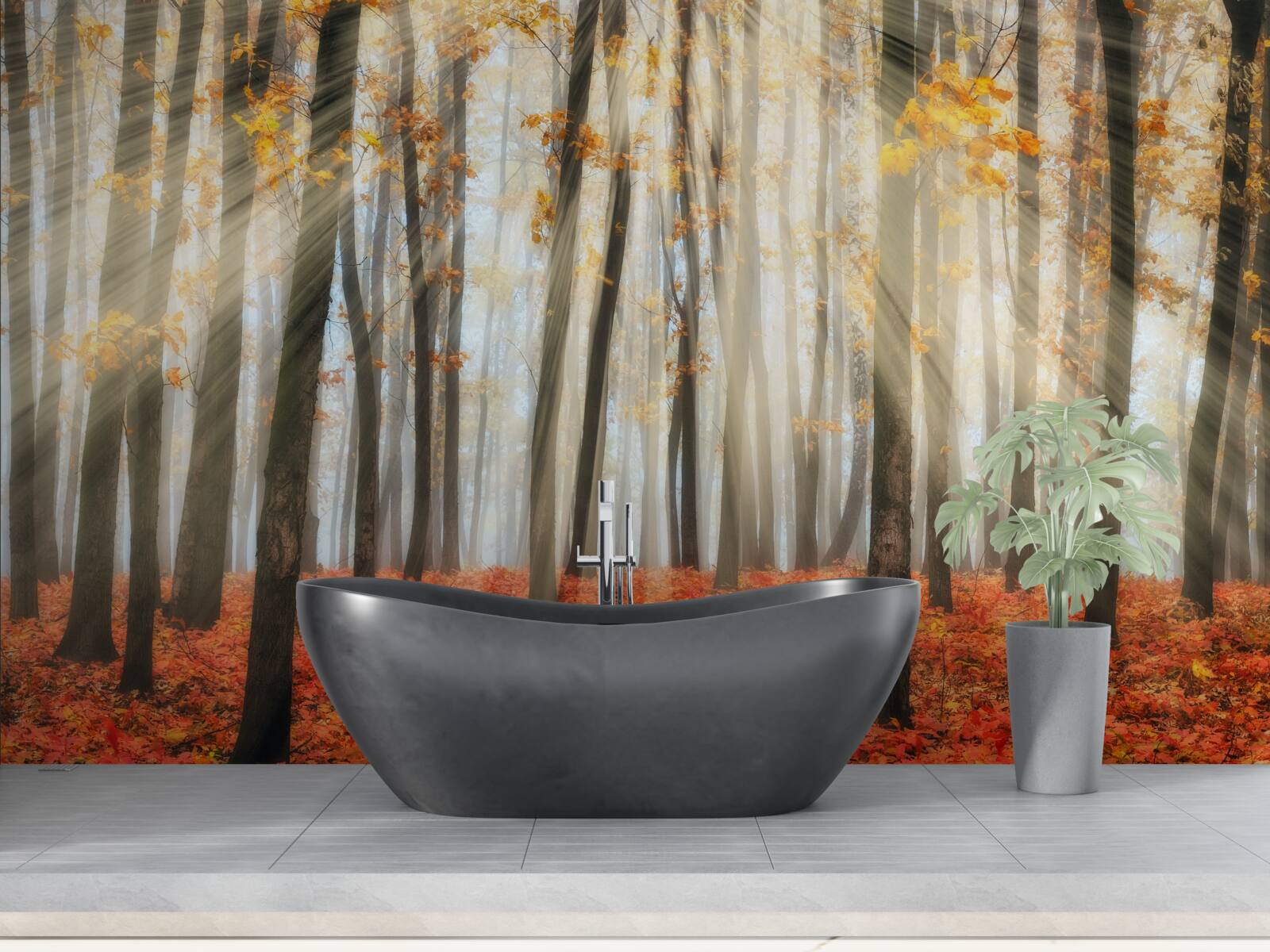 Fotobehang zonneschijn en sierlijke herfstbomen die hun bladeren hebben verloren