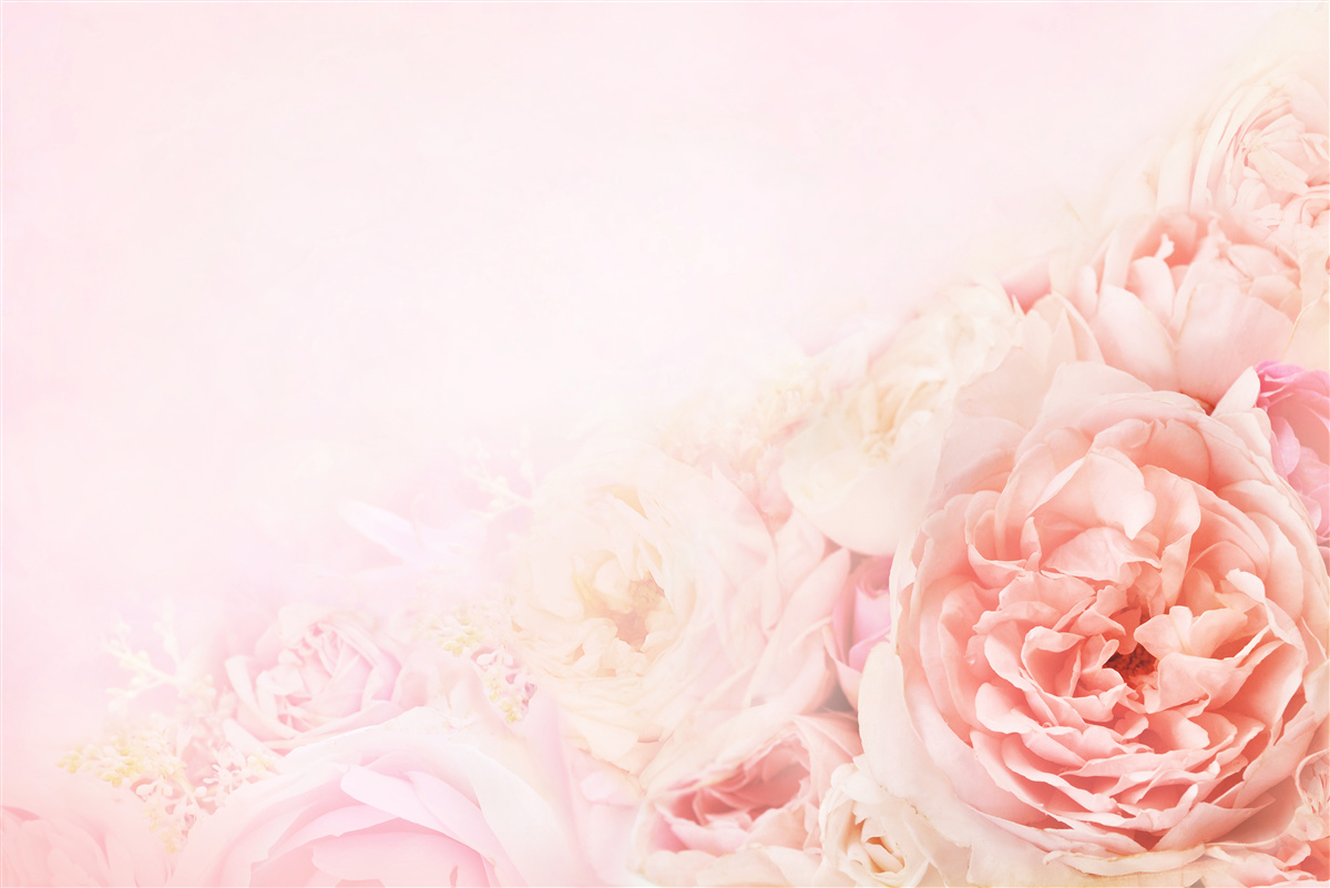 Fotobehang dunne roze bloemen