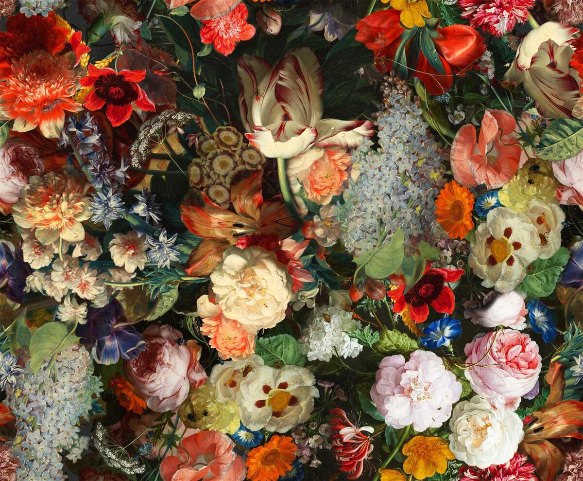 Fotobehang Levende seizoensbloemen in volle zomerbloei