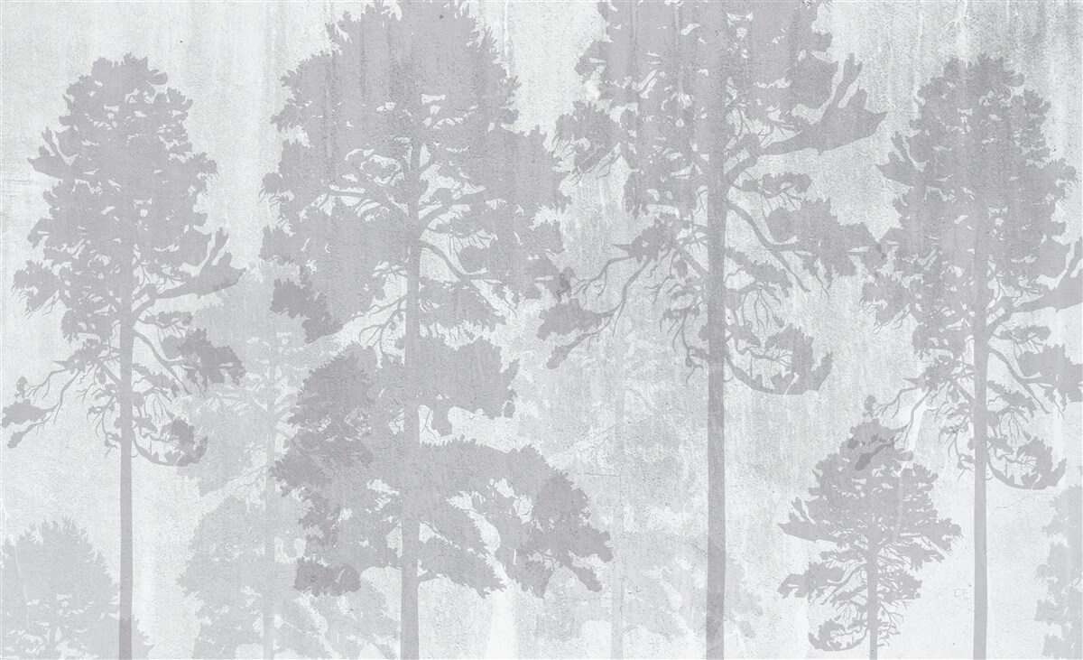 Fotobehang De mistige contouren van de bosbomen aan de rand lijken slank