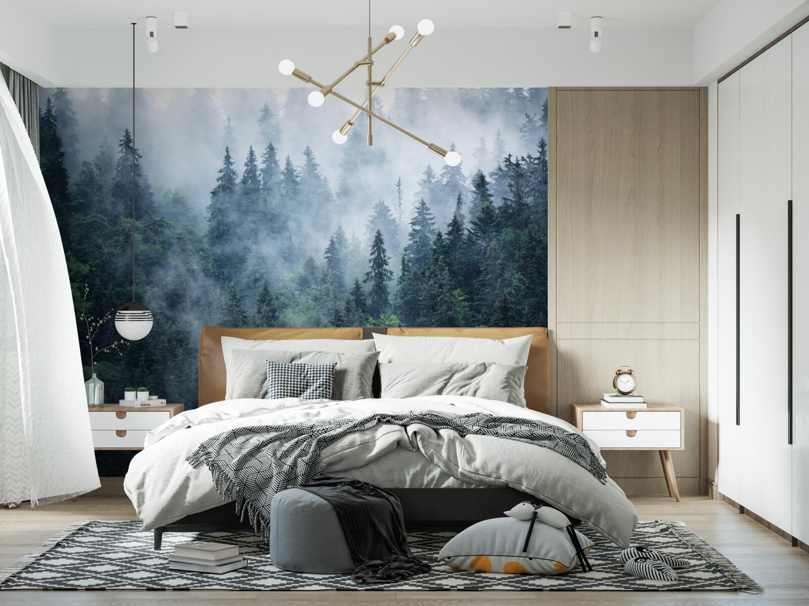 Fotobehang mist daalt neer op een bosje sparrenbomen