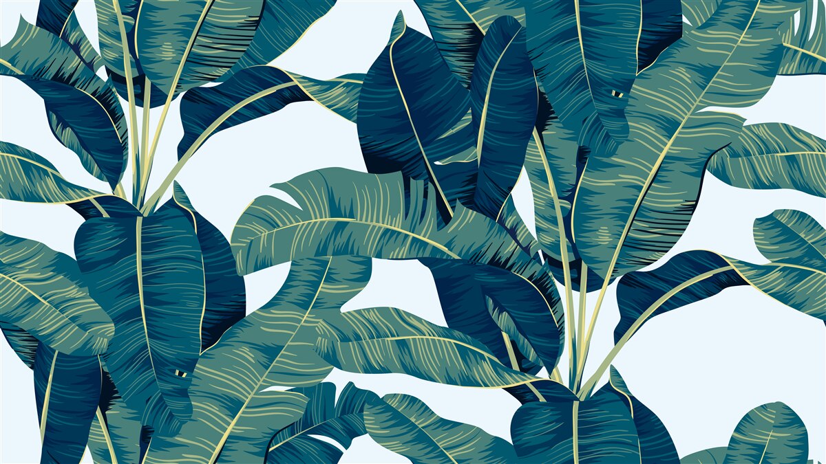 Fotobehang donkergroene varenbladeren afgewisseld met