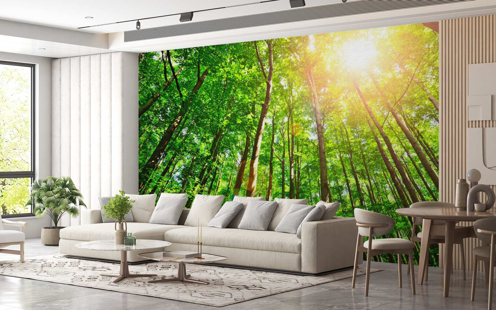 Fotobehang rijk zonlicht prikt door de dichte randen van het bos