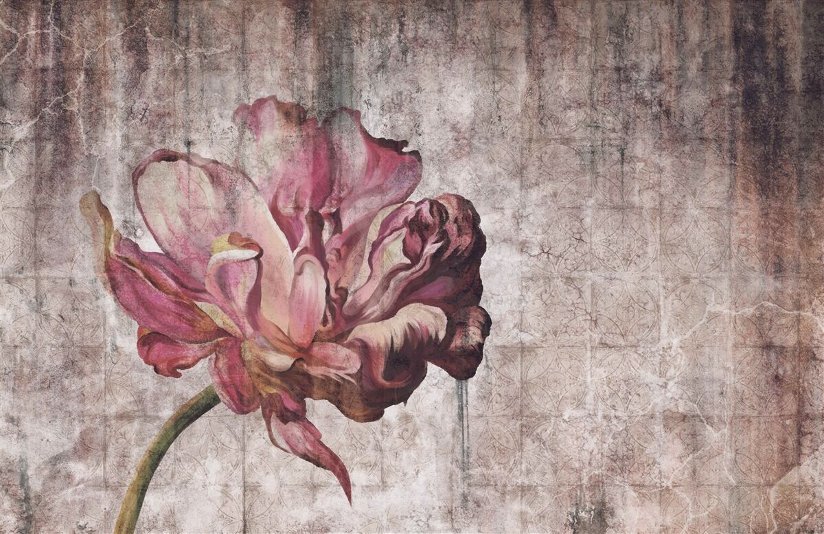 Fotobehang een eenzame scharlaken bloem in een stortbui