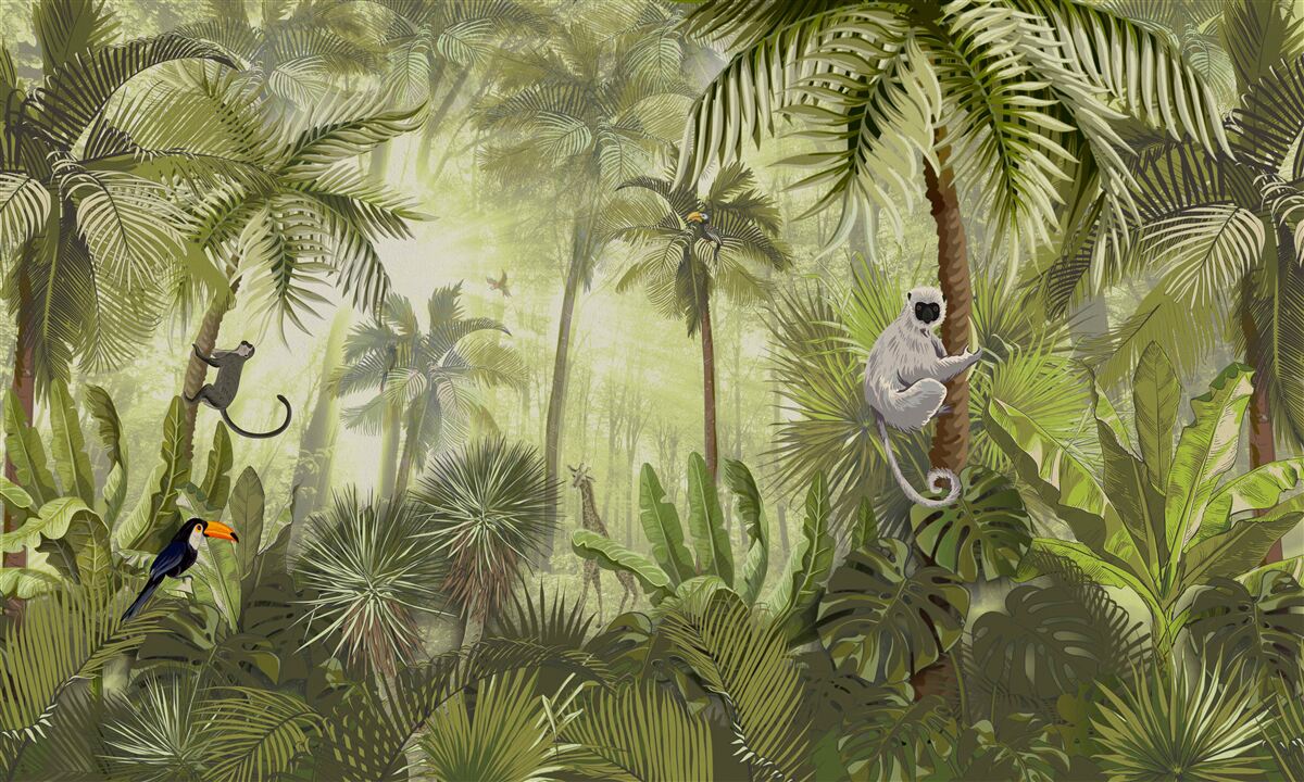 Fotobehang ochtendmist in tropische gebieden