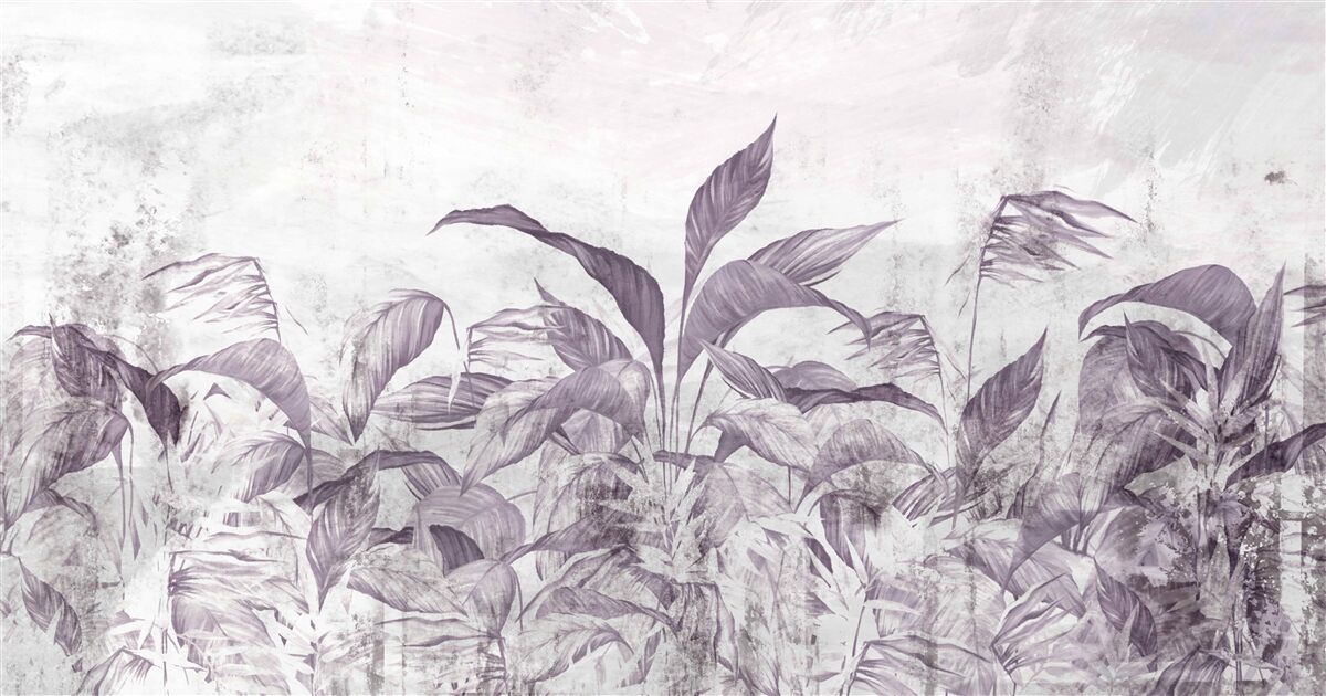 Fotobehang tropische flora en vegetatie tijdens zware regens