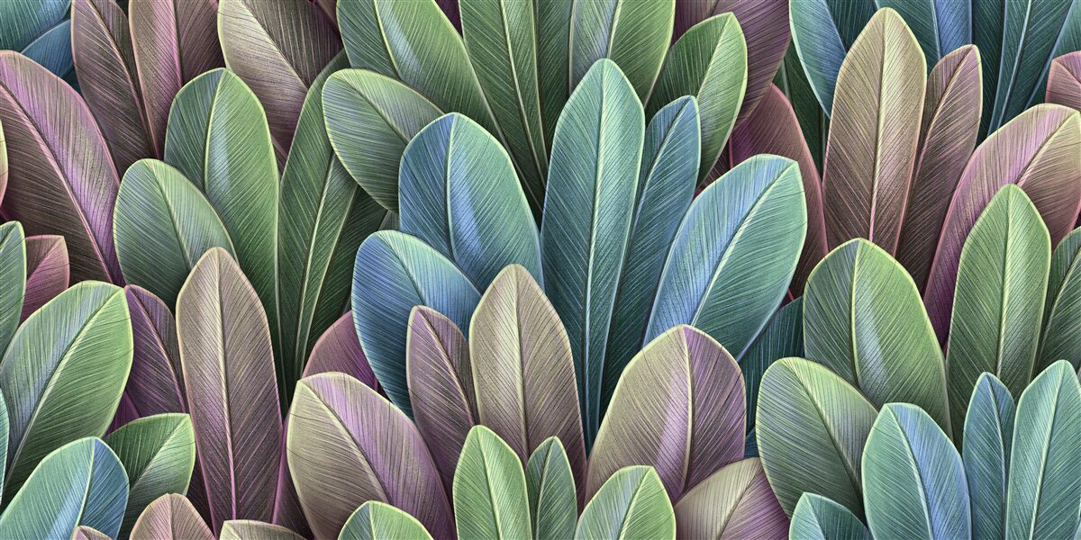 Fotobehang subtiliteiten van het kleurenspectrum van herfstbladeren in het bos