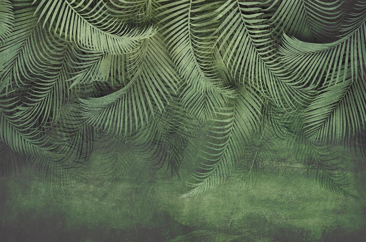 Fotobehang de bladeren van de avondpalm zijn dik