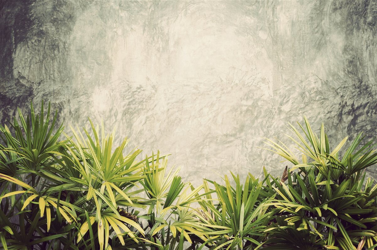 Fotobehang een mistige deken omhult de groene planten in de jungle