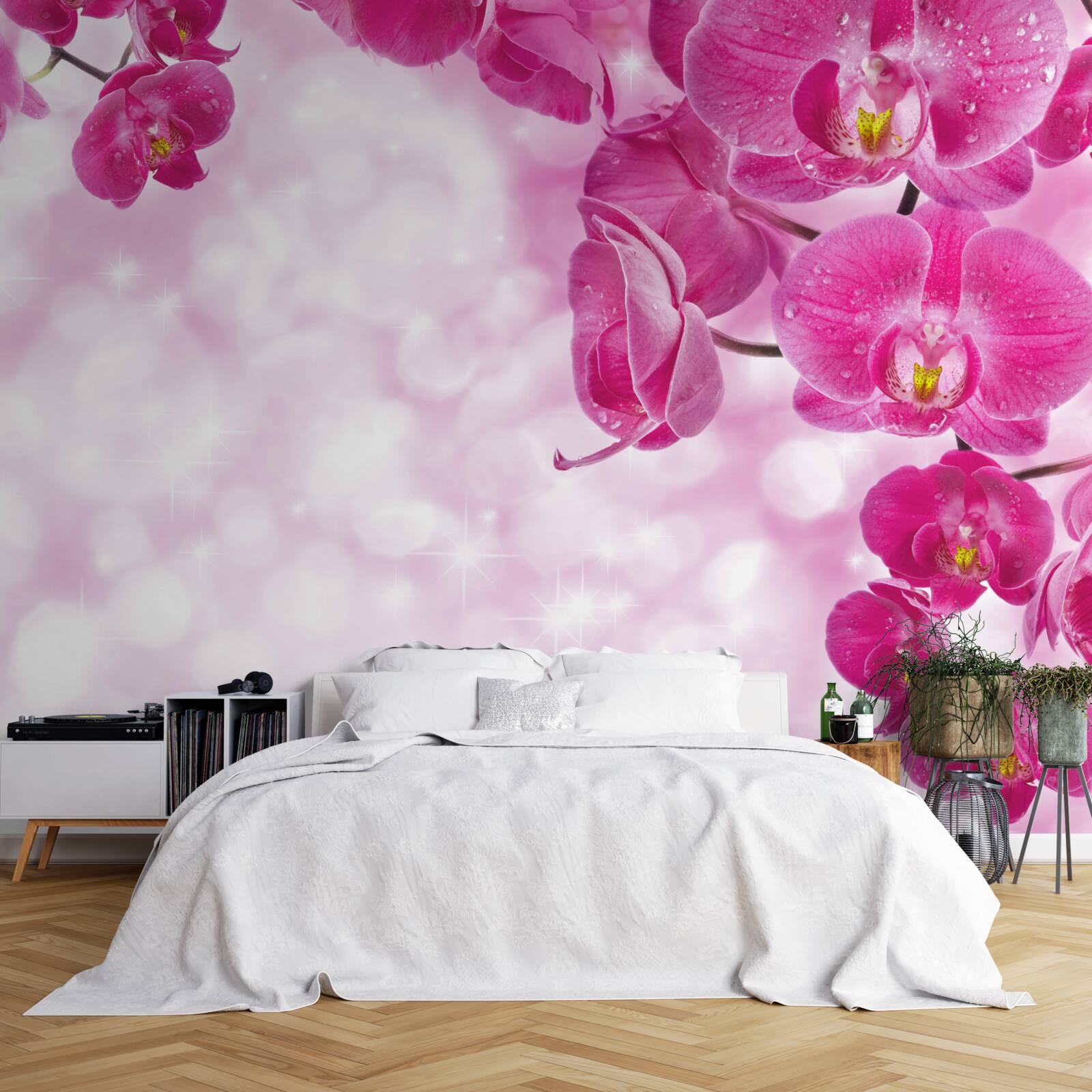 Fotobehang orchidee met een delicate lila tint