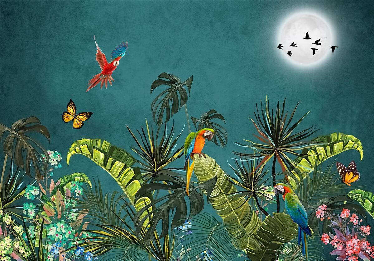 Fotobehang tropisch woud onder de dekking van de duisternis