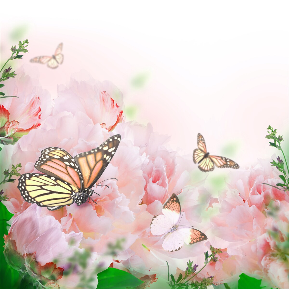 Fotobehang groep vlinders tegen een achtergrond van zomerbloemen