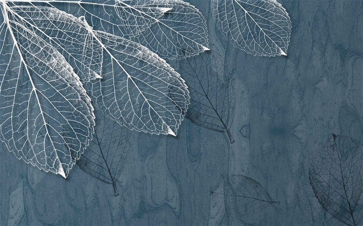 Fotobehang de bladeren zijn zo transparant als de vleugels van een vlinder