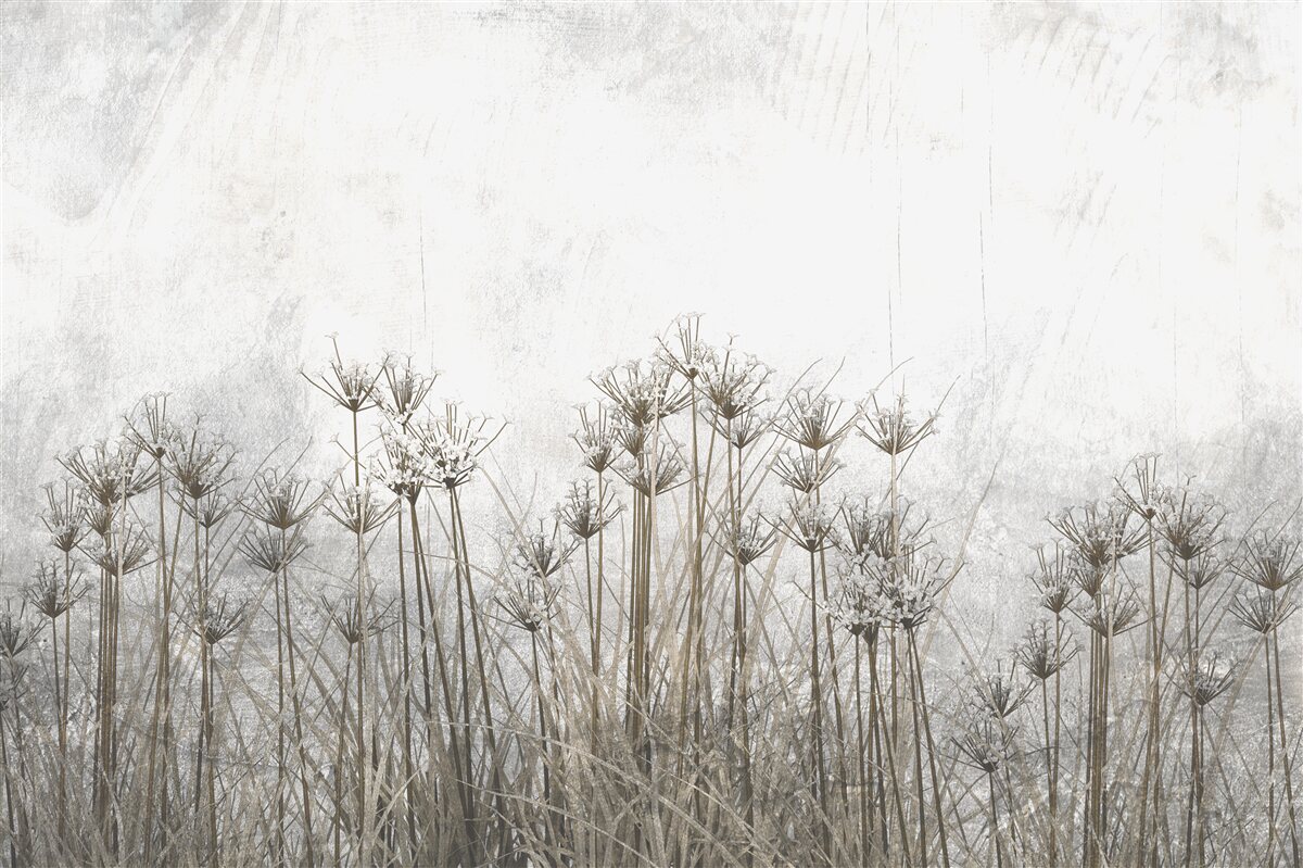 Fotobehang delicate holle kuit