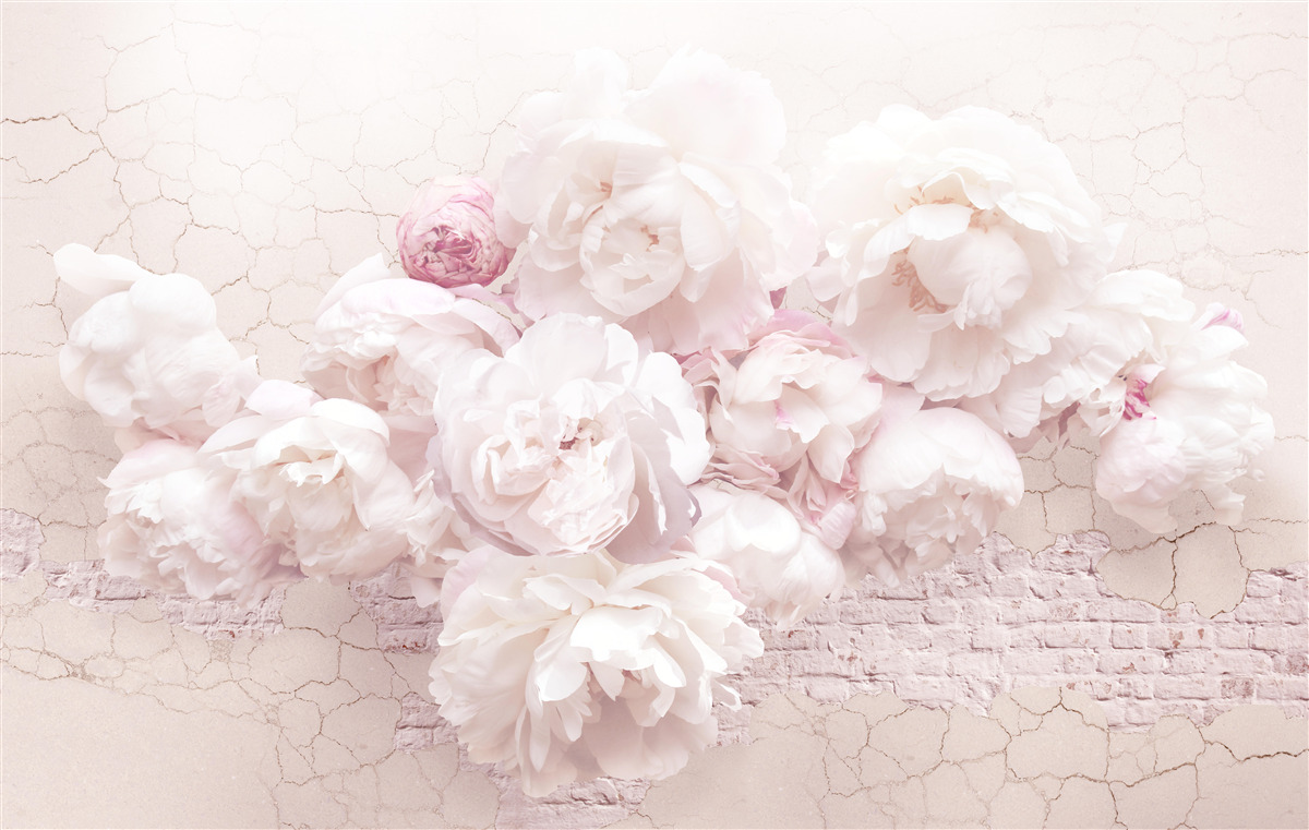 Fotobehang weelderige boetieks met bloemen op een rotsachtige achtergrond