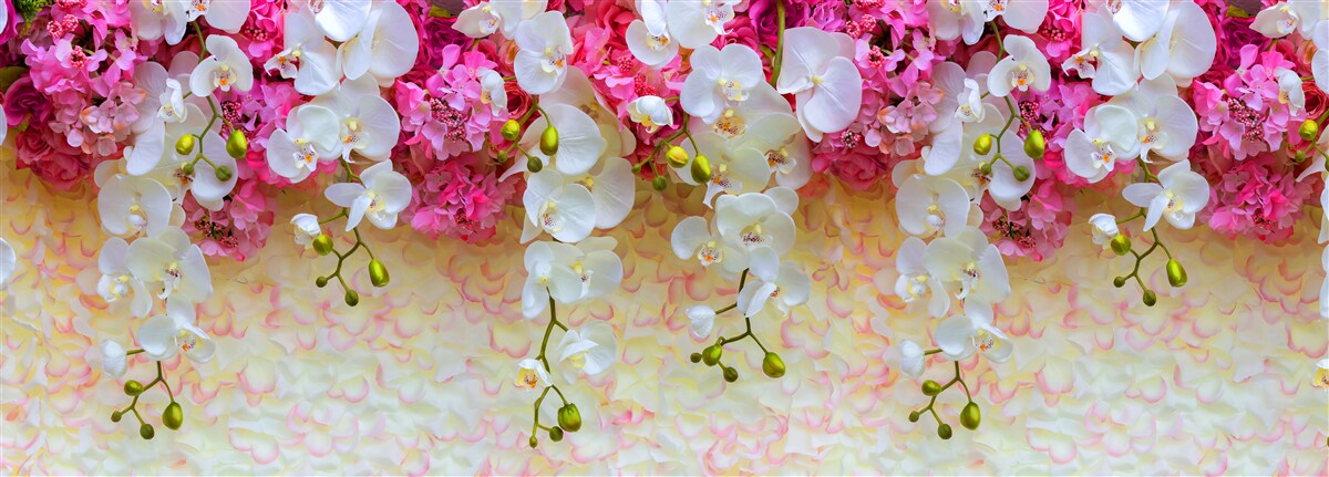 Fotobehang orchideeën waarvan de bloemen afhangen