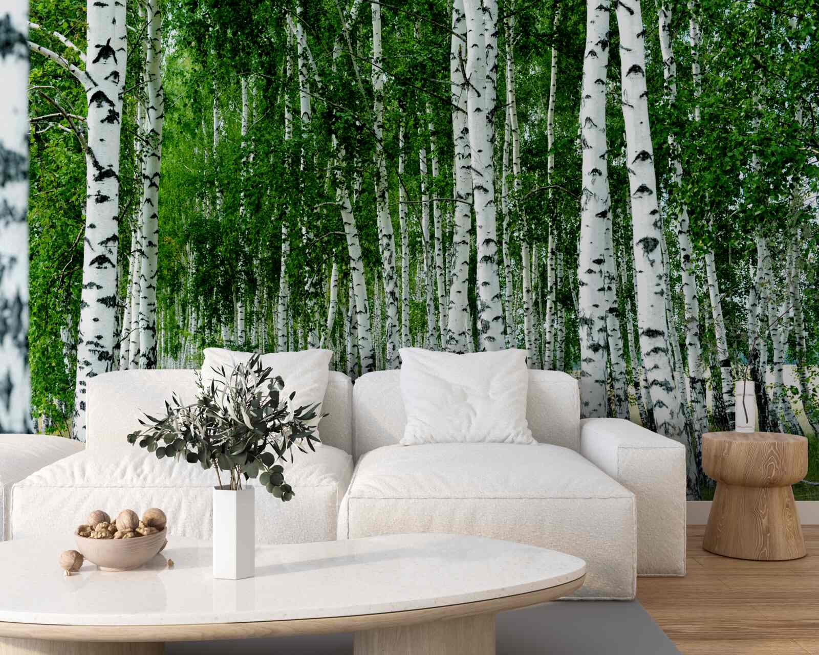 Fotobehang groene berken met sierlijke stammen in een open veld