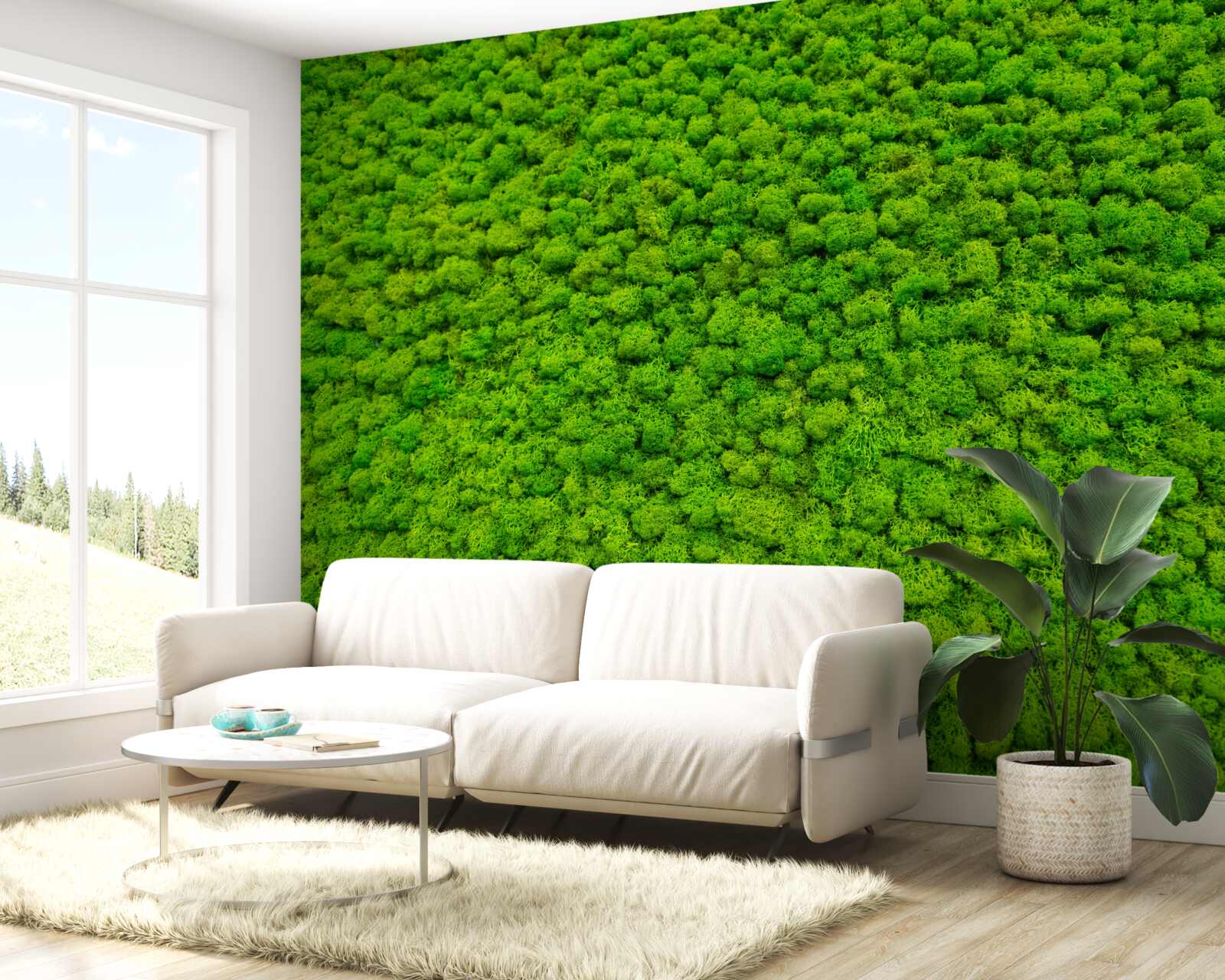 Fotobehang uitzicht op een groen blad vanaf een hoog punt