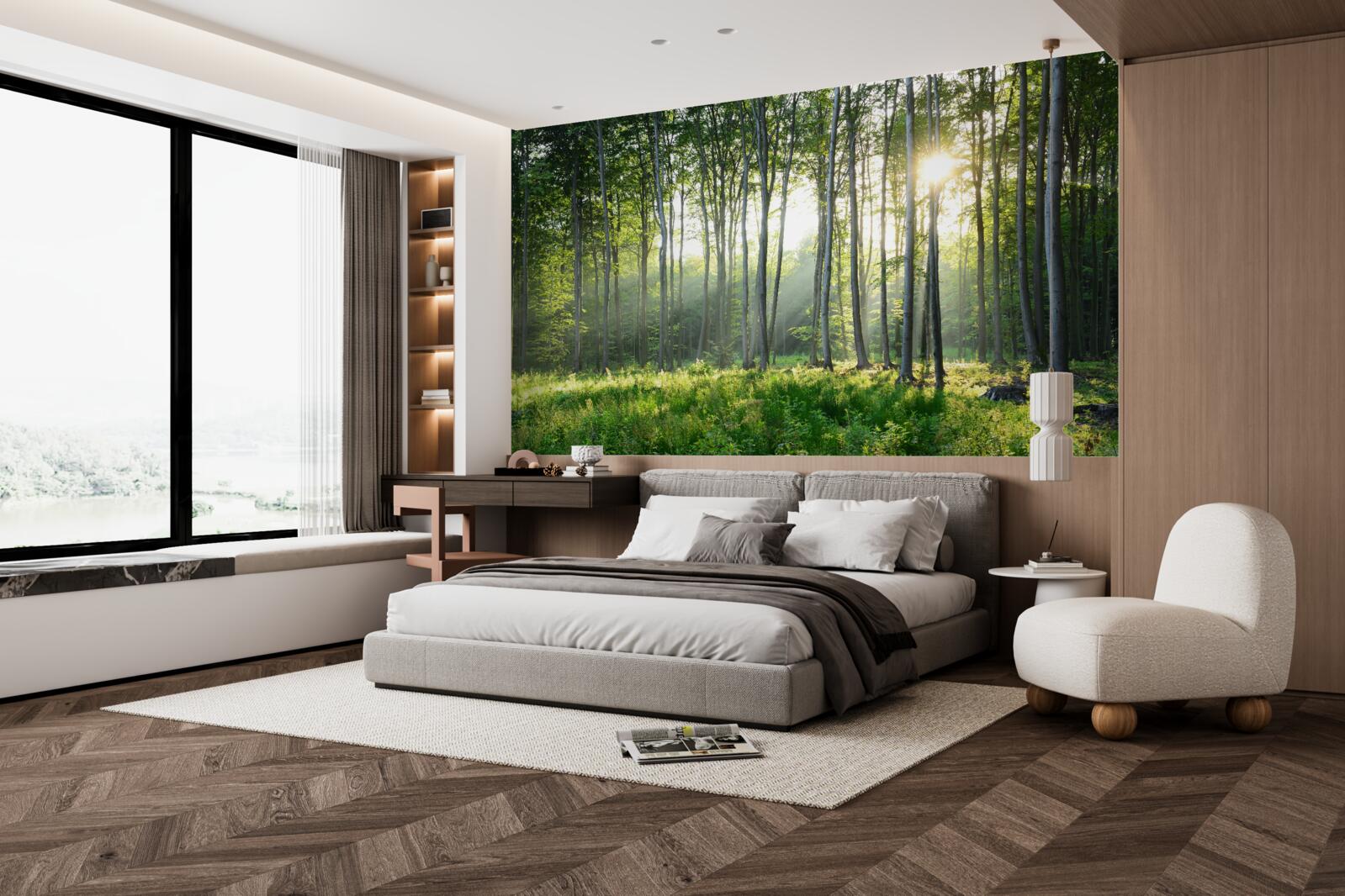 Fotobehang een plek in de natuur met uitzicht op de ochtendzon in het bos