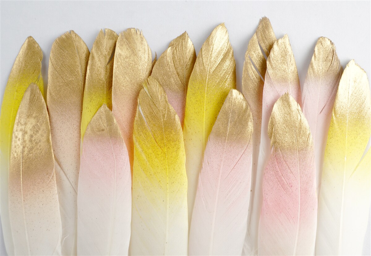 Fotobehang lange verloopveren