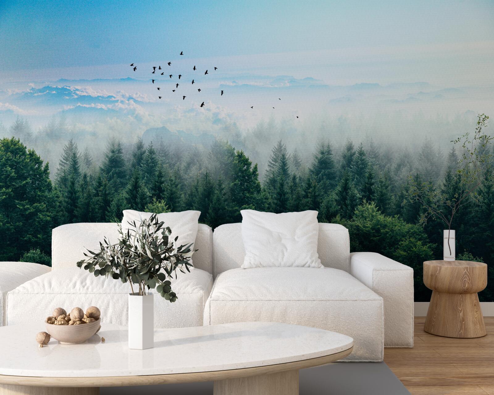 Fotobehang vogels zweven hoog boven de kruinen van de woudreuzen