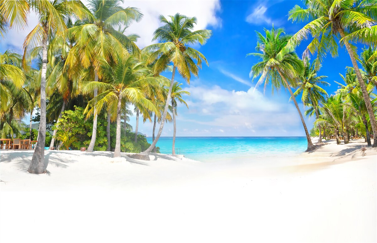 Fotobehang oceaankust met een zanderig oppervlak