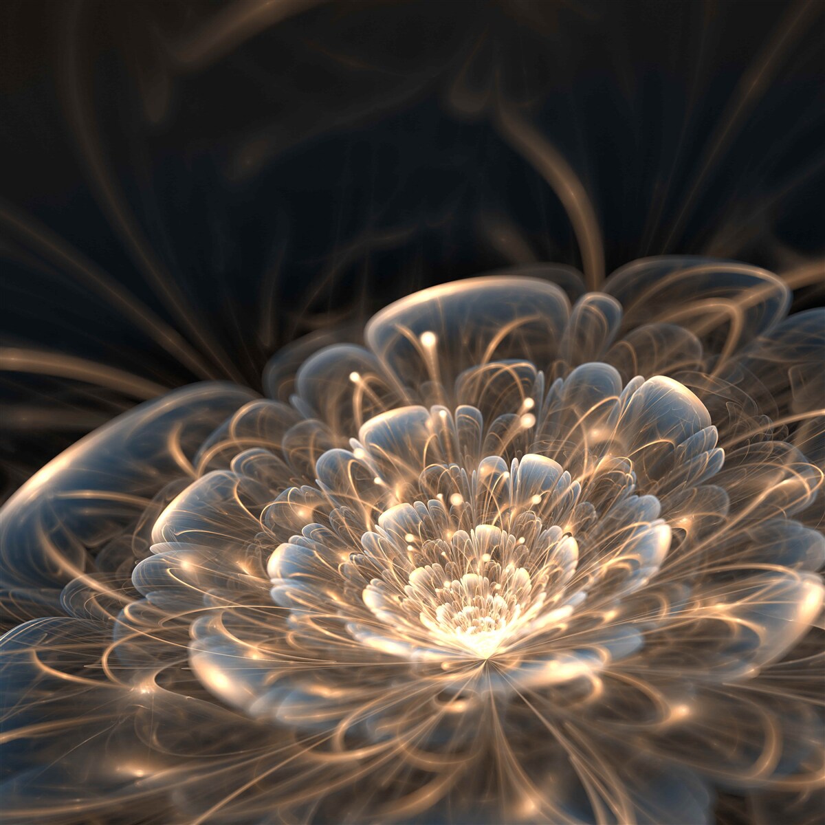 Fotobehang grote bloem van licht