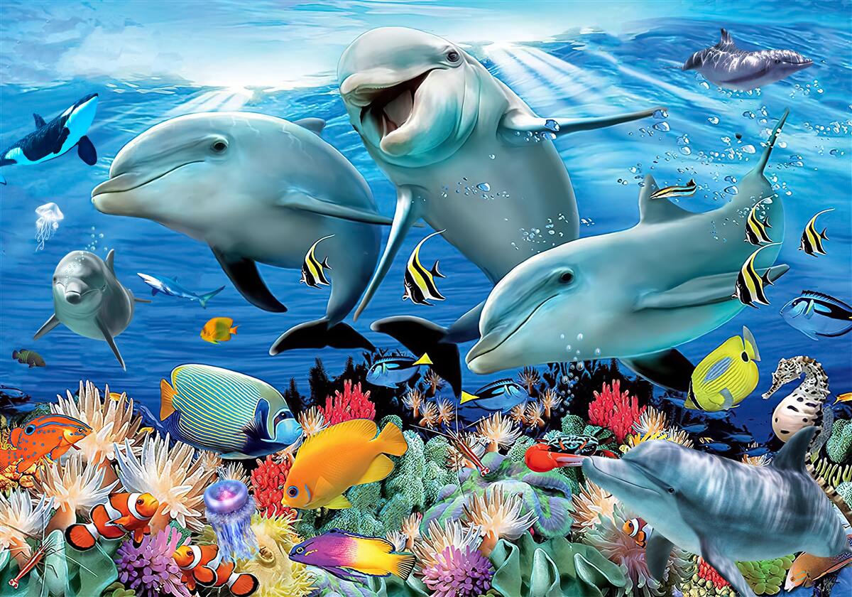 Fotobehang dolfijnen en vissen glimlachen onder water
