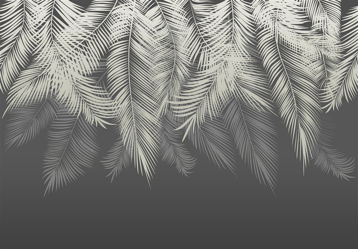 Fotobehang de varen is verdwenen in het donker van de nacht