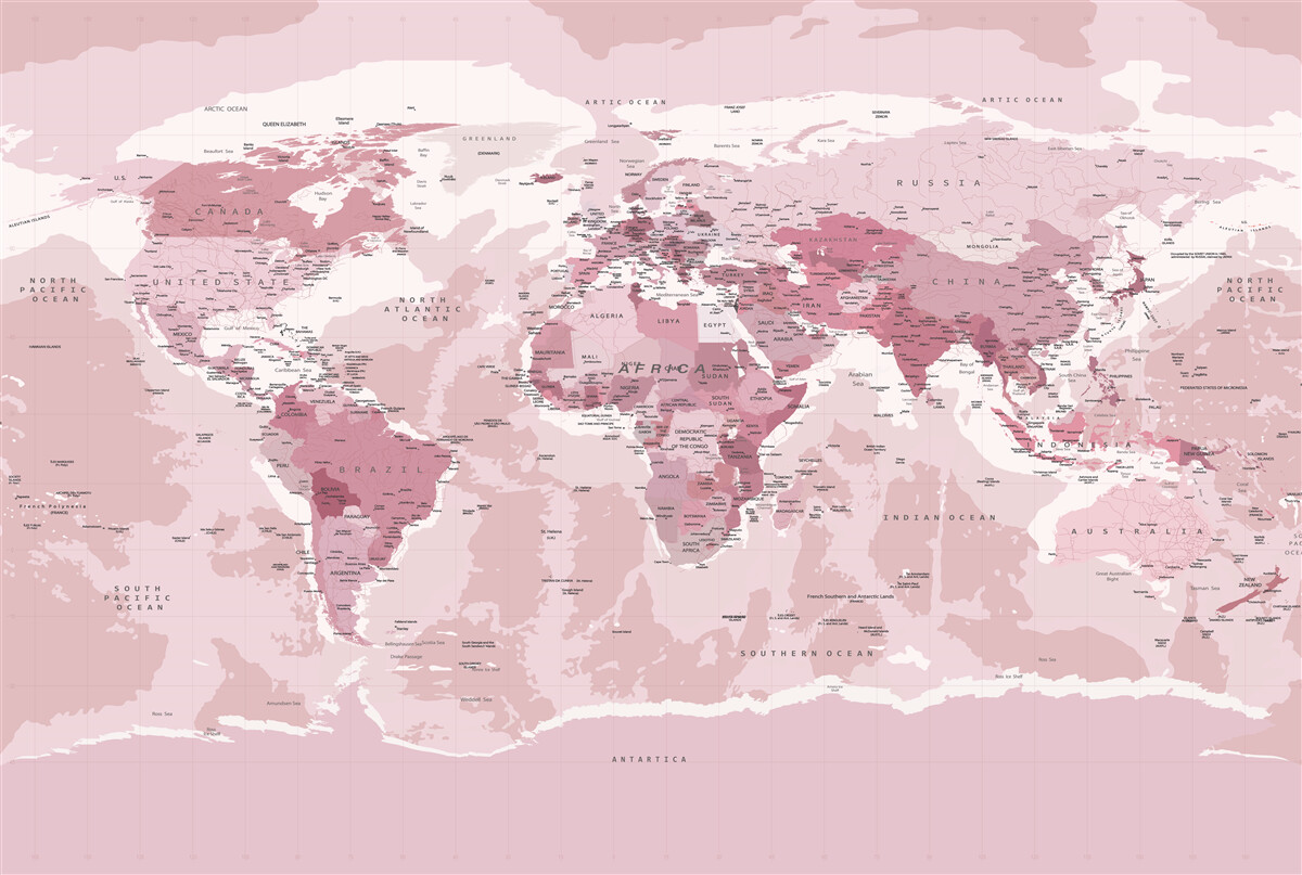Fotobehang standaard geografische kaart in roze