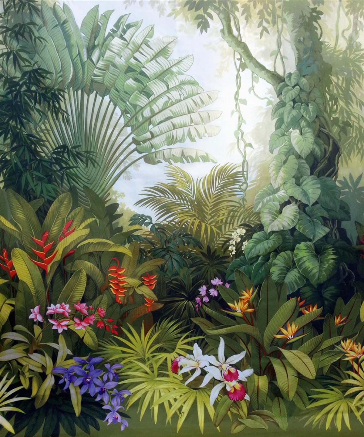 Fotobehang fascinerende en mysterieuze regenwouden