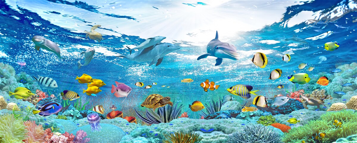 Fotobehang De wereld onder water op diepte