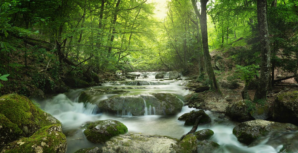 Fotobehang kalm water van een boswaterval