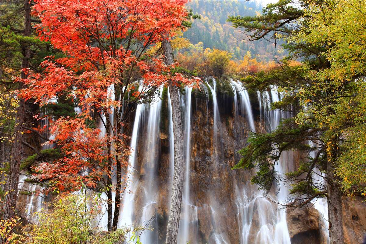 Fotobehang bos bij een krachtige waterval in de herfst