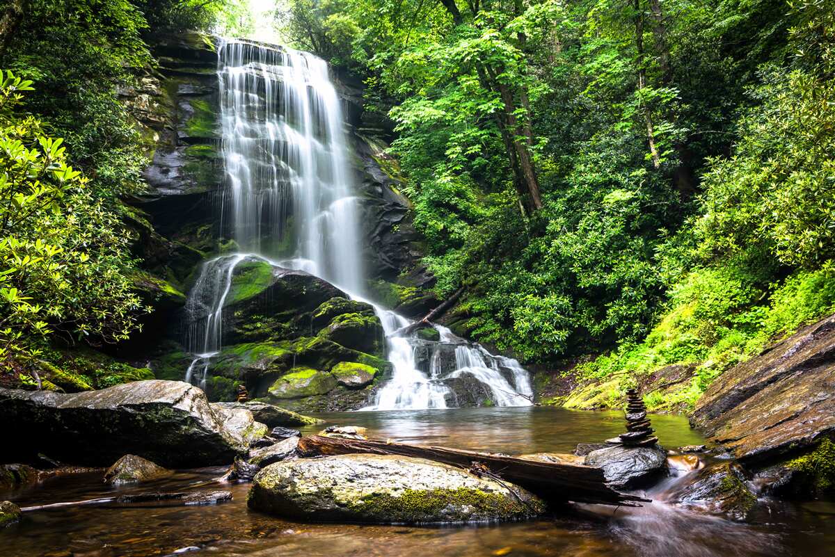 Fotobehang het water van de bergwaterval valt snel in het bos