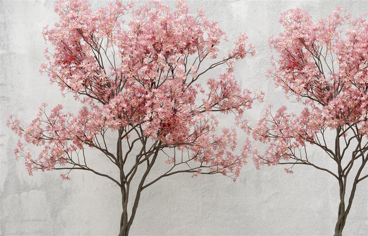 Fotobehang ochtendnevel omringt de roze sakurabloemen