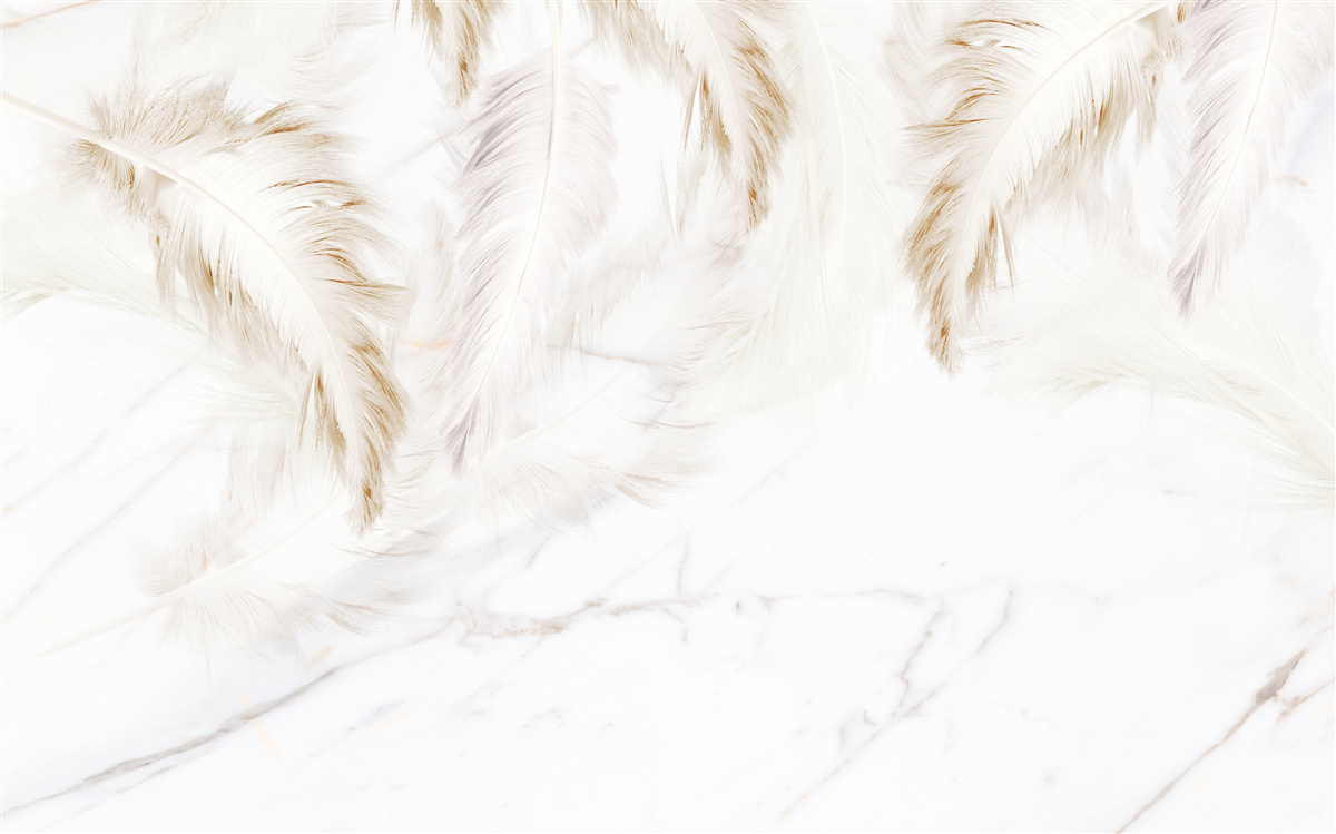 Fotobehang heldere achtergrond met gouden ingewikkelde veersecties