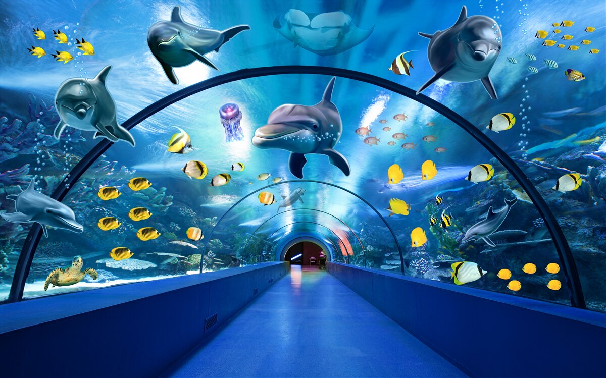 Fotobehang er zijn dolfijnen en vissen in het aquarium