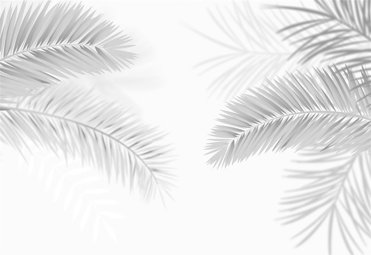 Fotobehang varenbladeren in zwart-wit