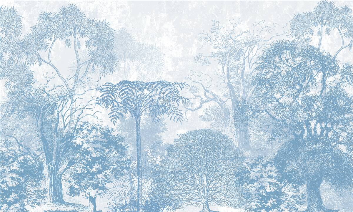 Fotobehang zwart-wit beeld van een boslandschap