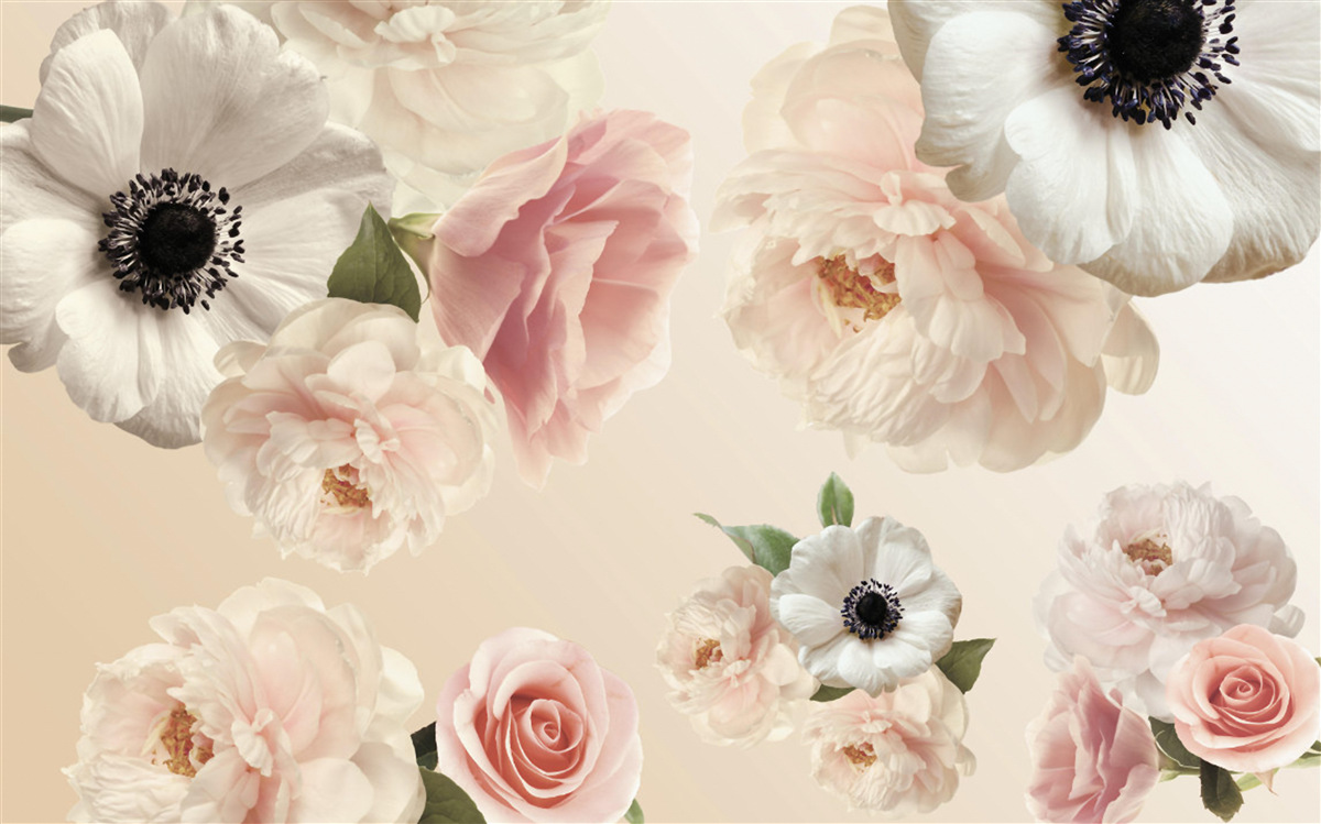 Fotobehang roze roos met witte klaproos