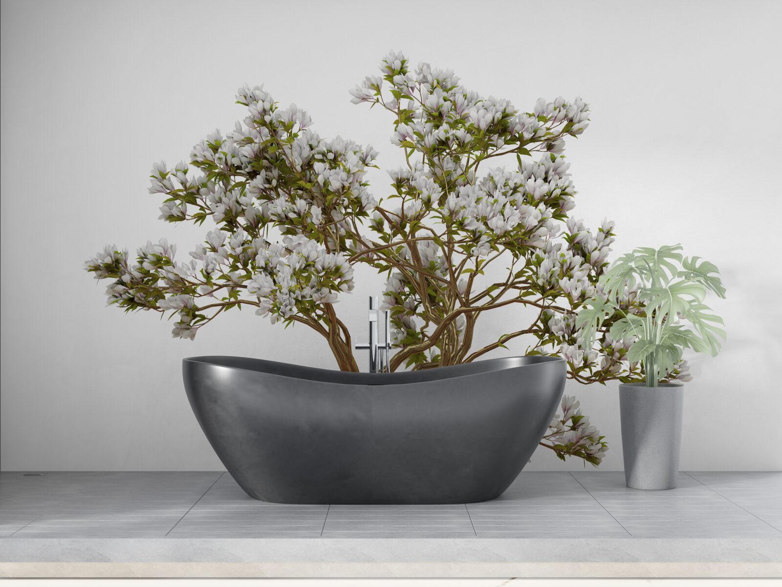 Fotobehang een solitaire bonsai heeft een sierlijke schoonheid