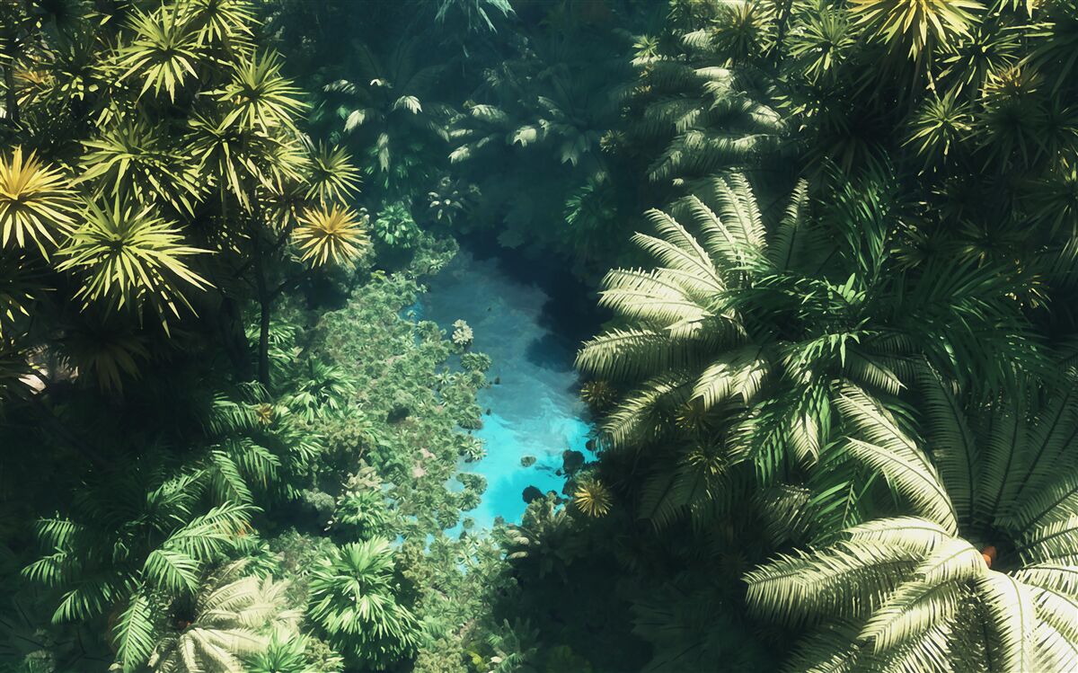 Fotobehang nachthemel met tropische planten