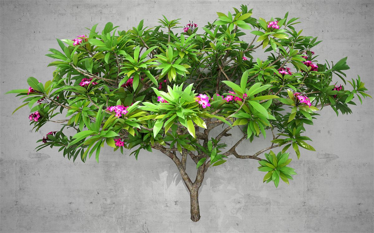 Fotobehang groene flits op een loofboom